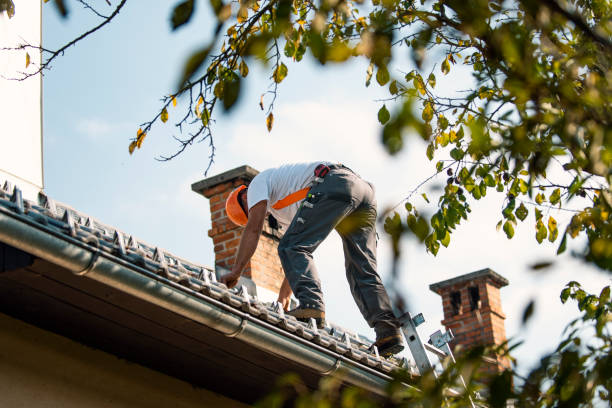 Best Tile Roofing Contractor  in Zebulon, GA