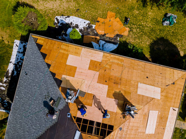 Best New Roof Installation  in Zebulon, GA