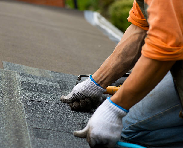 Best Roofing Contractor Near Me  in Zebulon, GA