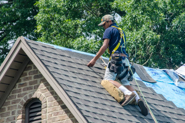 Best Metal Roofing Contractor  in Zebulon, GA