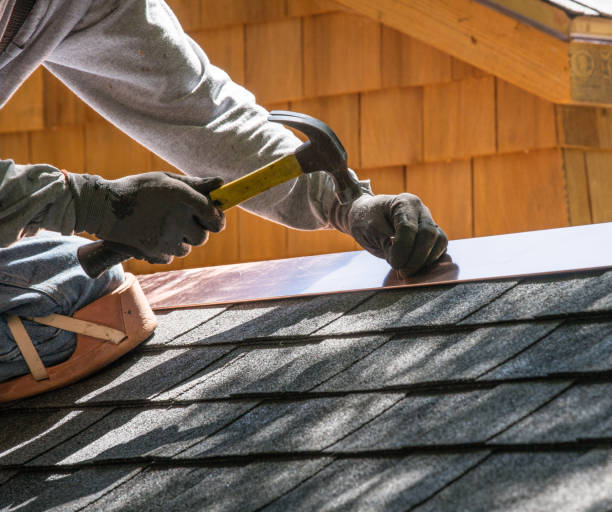 Roof Waterproofing Services in Zebulon, GA